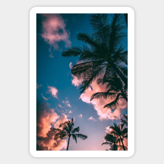 palm tree under pink cloudy sky Magnet by For_Us